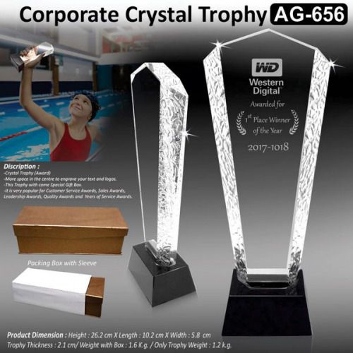 Corporate Crystal Trophy AG 656