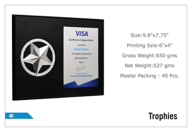 Visa Wooden  Trophies 119